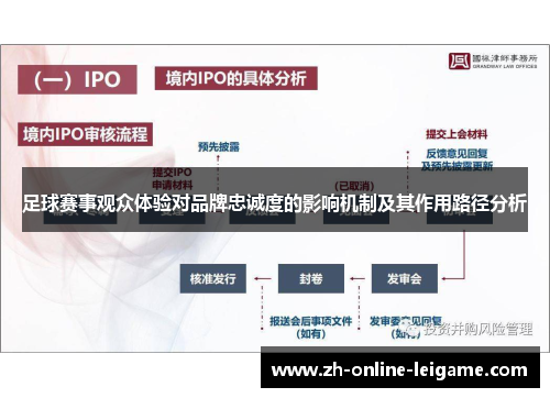 足球赛事观众体验对品牌忠诚度的影响机制及其作用路径分析