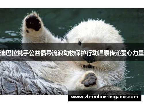 迪巴拉携手公益倡导流浪动物保护行动温暖传递爱心力量